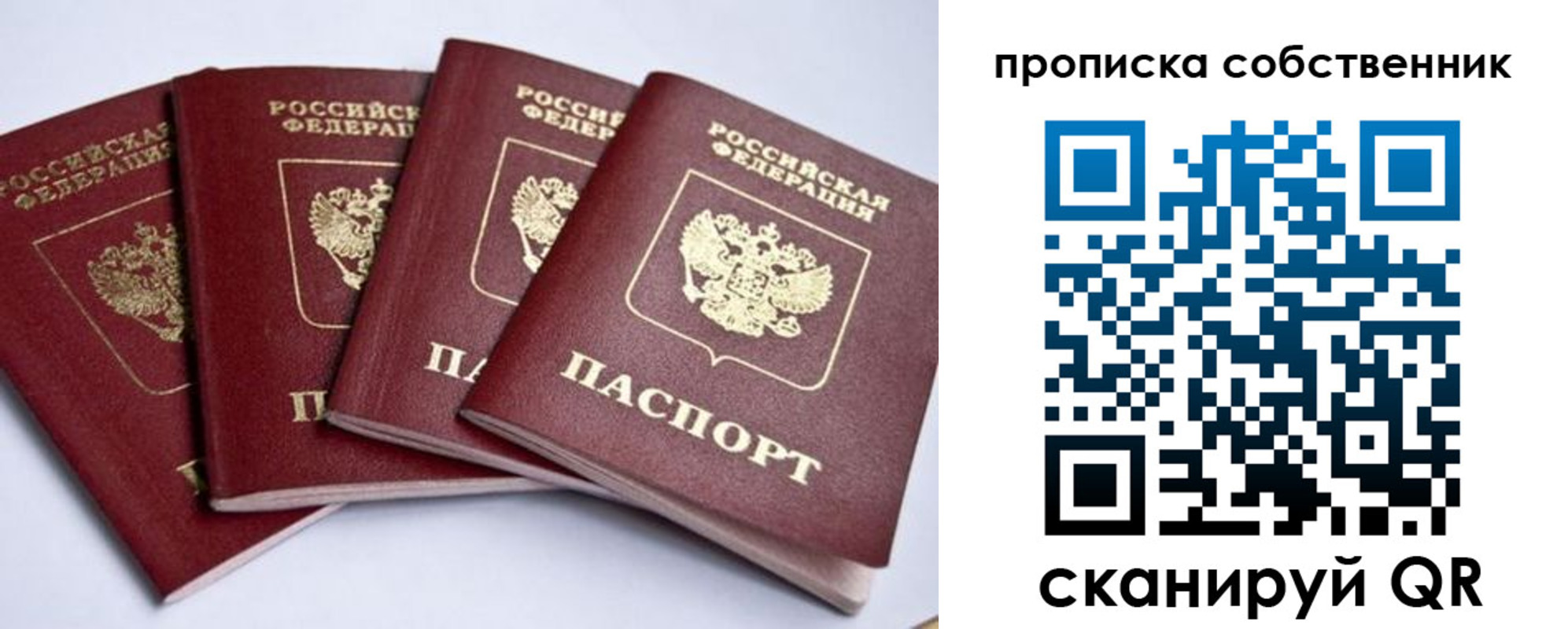прописка для школы в Прохладном
